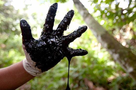 Il petrolio minaccia la foresta amazzonica - Investing in Amazon Destruction, Amazon Watch