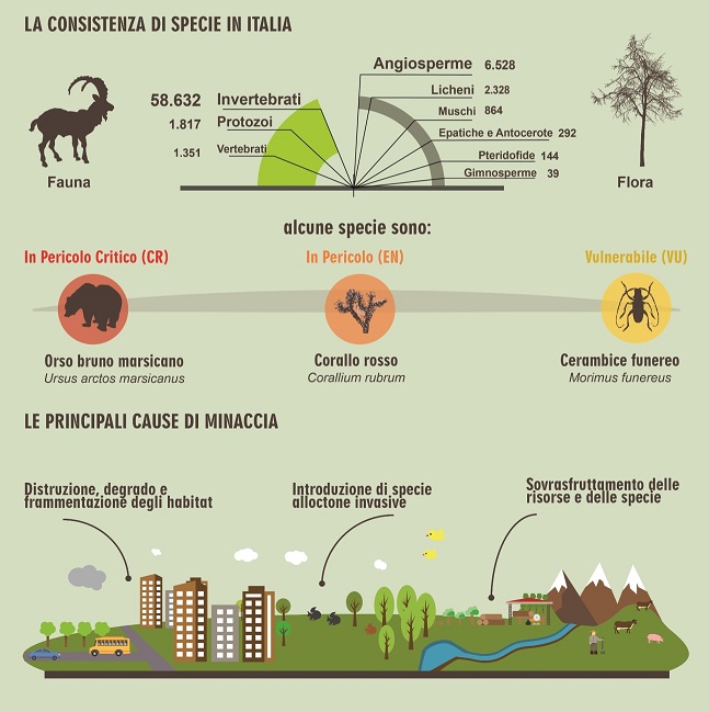 Secondo FAO ed EFSA gli insetti sono buoni da mangiare e ecosostenibili, ma  permangono molti dubbi per la loro sicurezza alimentare - European Consumers