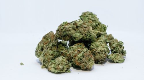 marijuana cannabis erba John Miller Pixabay