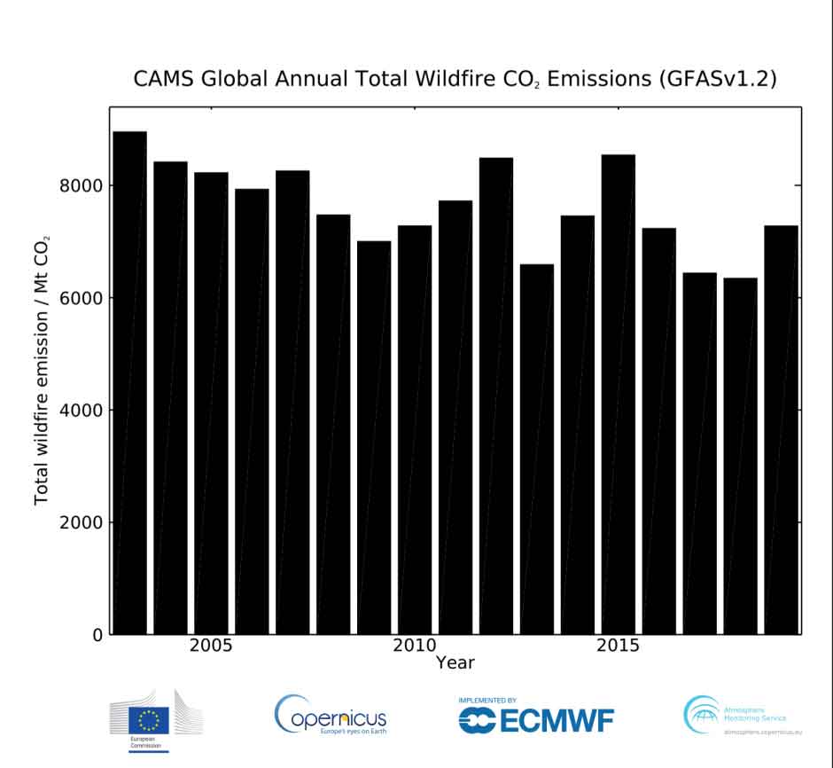Le emissioni totali giornaliere di CO2 degli incendi hanno generalmente seguito la media 2003-2018, secondo il set di dati del sistema di monitoraggio degli incendi globali ECMWF del servizio di monitoraggio atmosferico Copernicus. Fonte: WMO