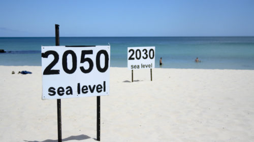 Il riscaldamento globale potrebbe far salire il livello degli oceani di 1,3 metri entro la fine del secolo.