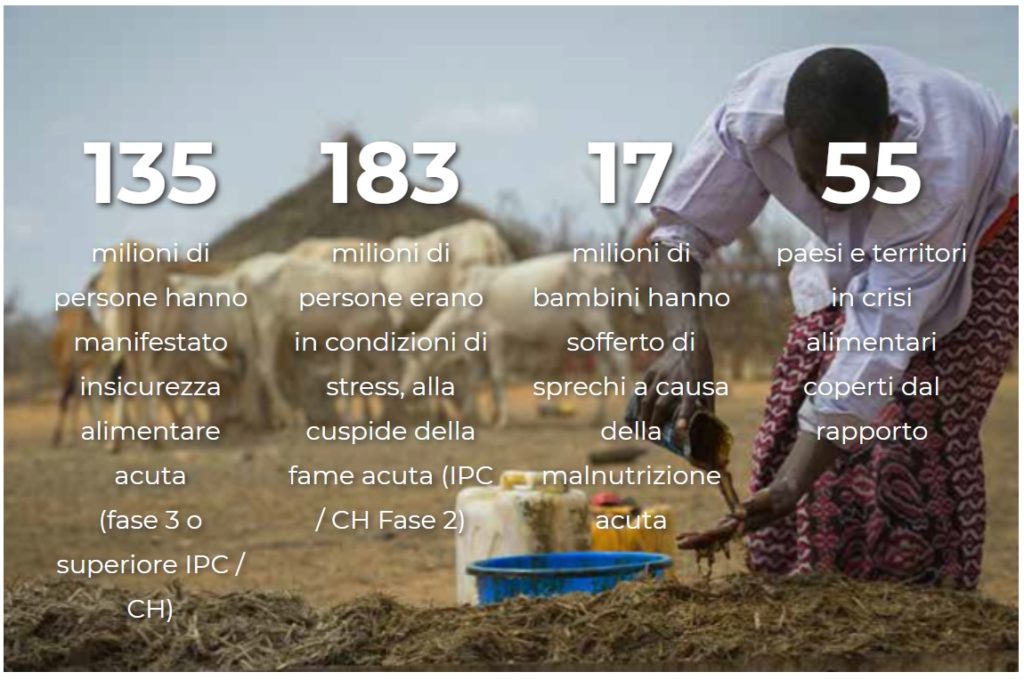 I numeri aggiornati su fame acuta e malnutrizione - FONTE: Global Network Against Food Crises, aprile 2020