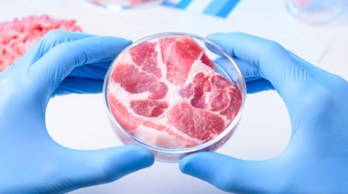concept di esame di carne coltivata in laboratorio