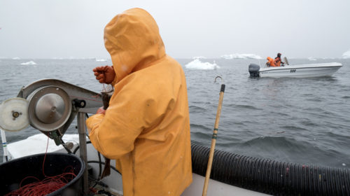 Scena di pesca: i pescatori stanno combattendo con il freddo e pescano in barca nell'oceano artico in Groenlandia