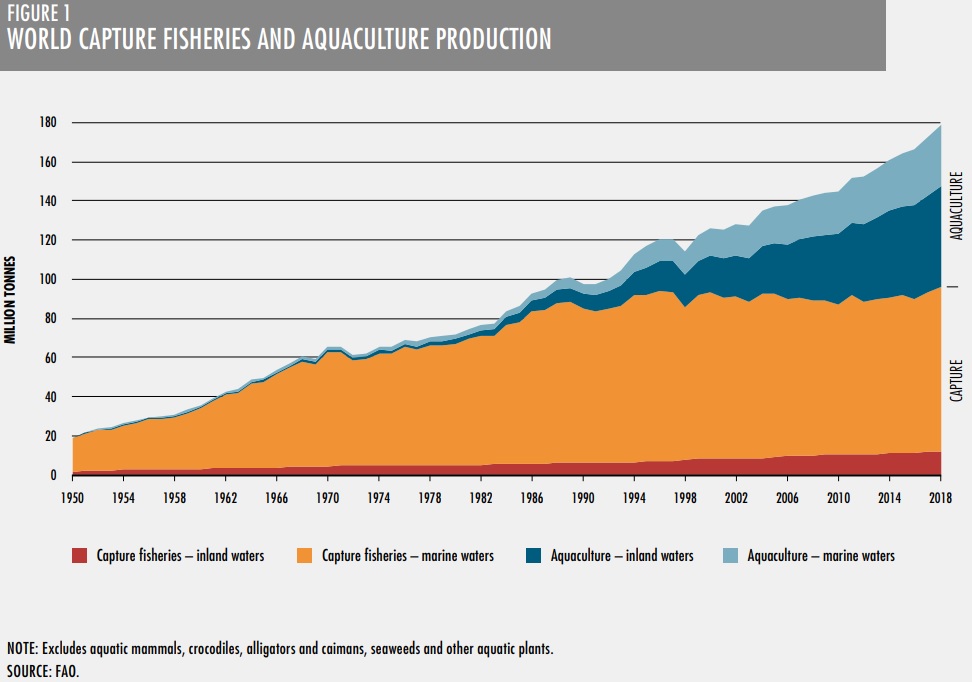 trend catture di pesce e produzione per acquacoltura 1950-2018