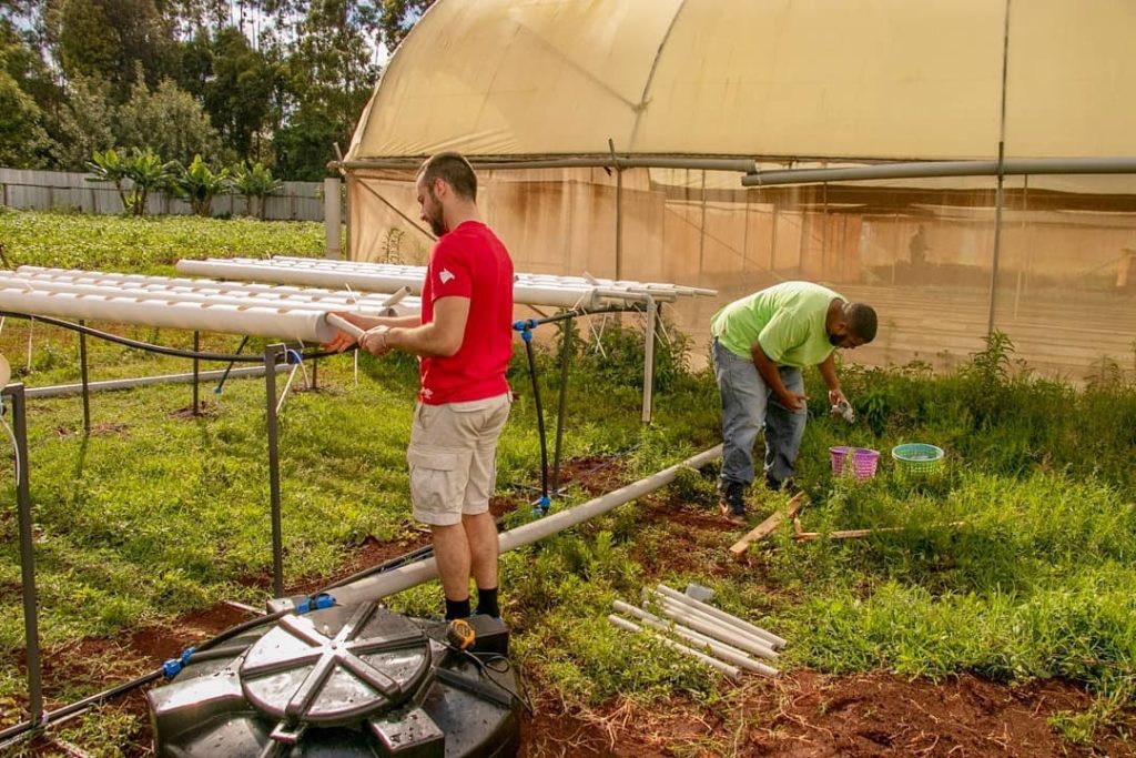 coltivazione idroponica con Agritube, ricerca affidata VMD AGRO - Nairobi - Kenya - 2020 - fonte Glocal Impact Network - 4