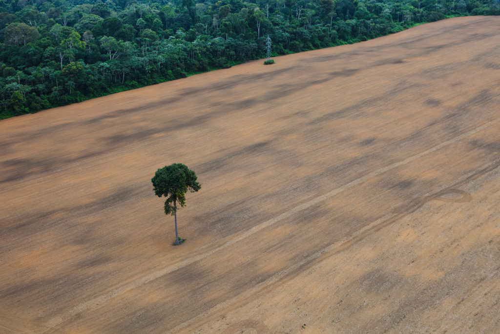 Area deforestata in Amazzonia nello stato di Parà, in Brasile - 11 febbraio 2012 - © Daniel Beltrá / Greenpeace