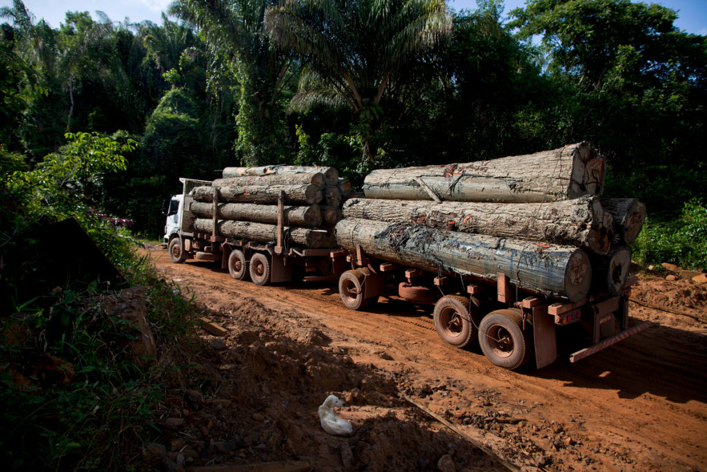 Deforestazione in Amazzonia. Un camion carico di legname sulla strada Curuá-Una dopo aver attraversato il fiume omonimo, vicino a Santarém, nello stato del Pará, in Brasile - 26 marzo 2014 - © Marizilda Cruppe / Greenpeace