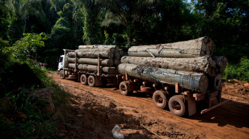 Deforestazione in Amazzonia. Un camion carico di legname sulla strada Curuá-Una dopo aver attraversato il fiume omonimo, vicino a Santarém, nello stato del Pará, in Brasile - 26 marzo 2014 - © Marizilda Cruppe / Greenpeace
