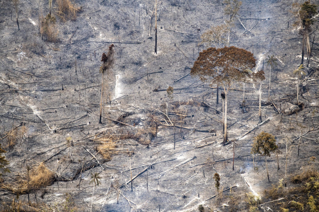 Alla fine della stagione degli incendi nella foresta amazzonica, Greenpeace documenta la distruzione lasciata dagli incendi boschivi nella regione tra gli stati brasiliani di Amazonas, Acre e Rondônia, in Brasile - 1 ottobre 2018 - © Daniel Beltrá / Greenpeace