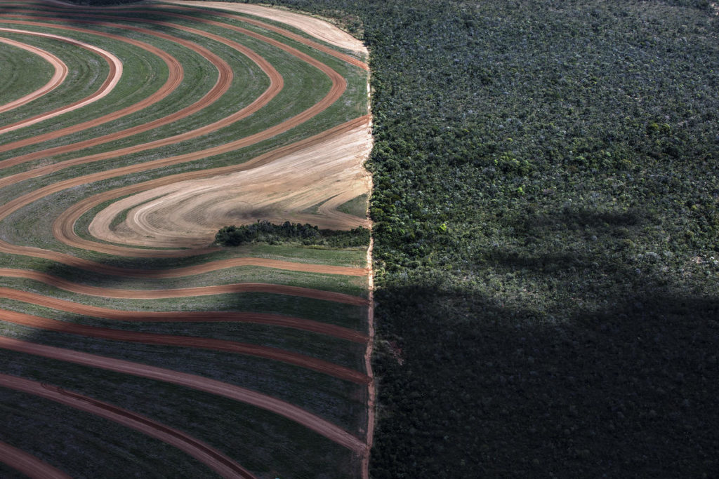 La corsa dell'agribusiness tra gli stati di Maranhão, Tocantins, Piauí e Bahia, nella regione conosciuta come MATOPIBA in Brasile - 11 giugno 2017 - © Marizilda Cruppe / Greenpeace