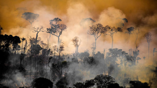 Deforestazione e monitoraggio degli incendi in Amazzonia ad agosto 2020 grazie ai dati di rilevazione satellitare dei punti di calore. Stato di Amazonas, Brasilee - 17 agosto 2020 - © Christian Braga / Greenpeace