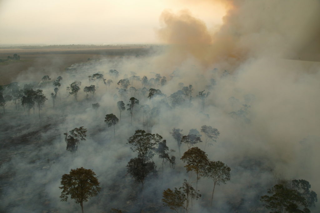Foresta pluviale amazzonica in fiamme, preparazione alle coltivazioni di soia Cargill nello stato di Parà, Brasile - 10 dicembre 2003 - © Greenpeace / Daniel Beltrá