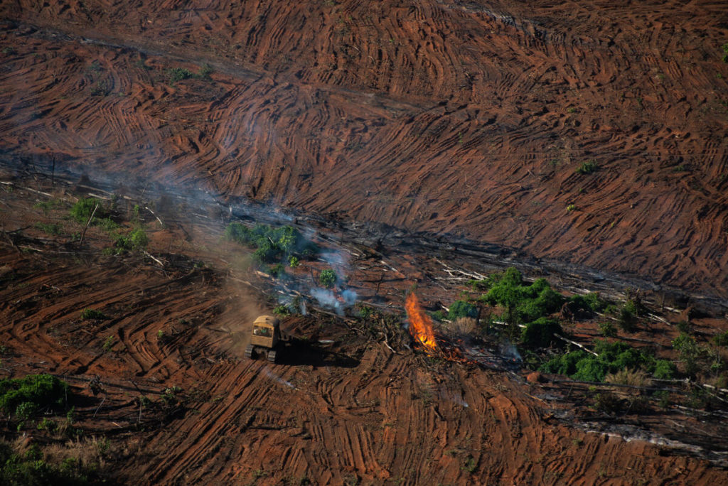 Deforestazione e monitoraggio degli incendi in Amazzonia a luglio 2020. Resti di boschi in fiamme, a Juara, nello stato del Mato Grosso, in Brasile - 9 lug 2020 - © Christian Braga / Greenpeace