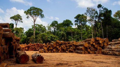 Deforestazione nell'Amazzonia brasiliana © Marcio Isensee e Sa/iStockPhoto