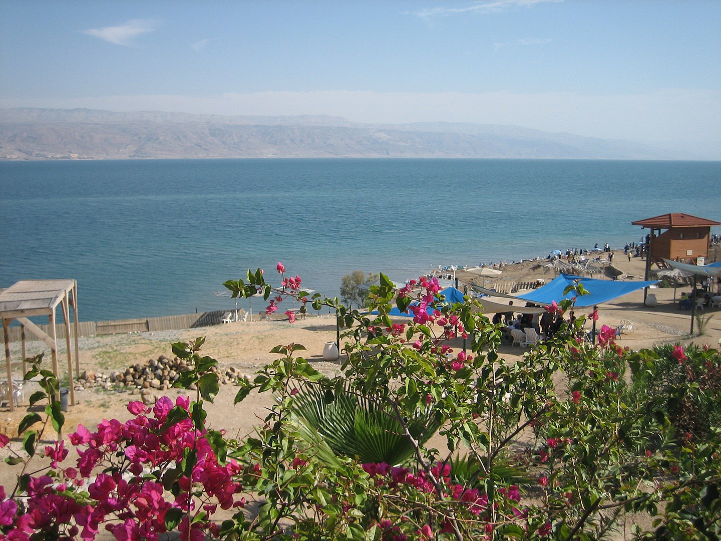 la spiaggia di kalia cisgiordania insediamenti illegali palestina