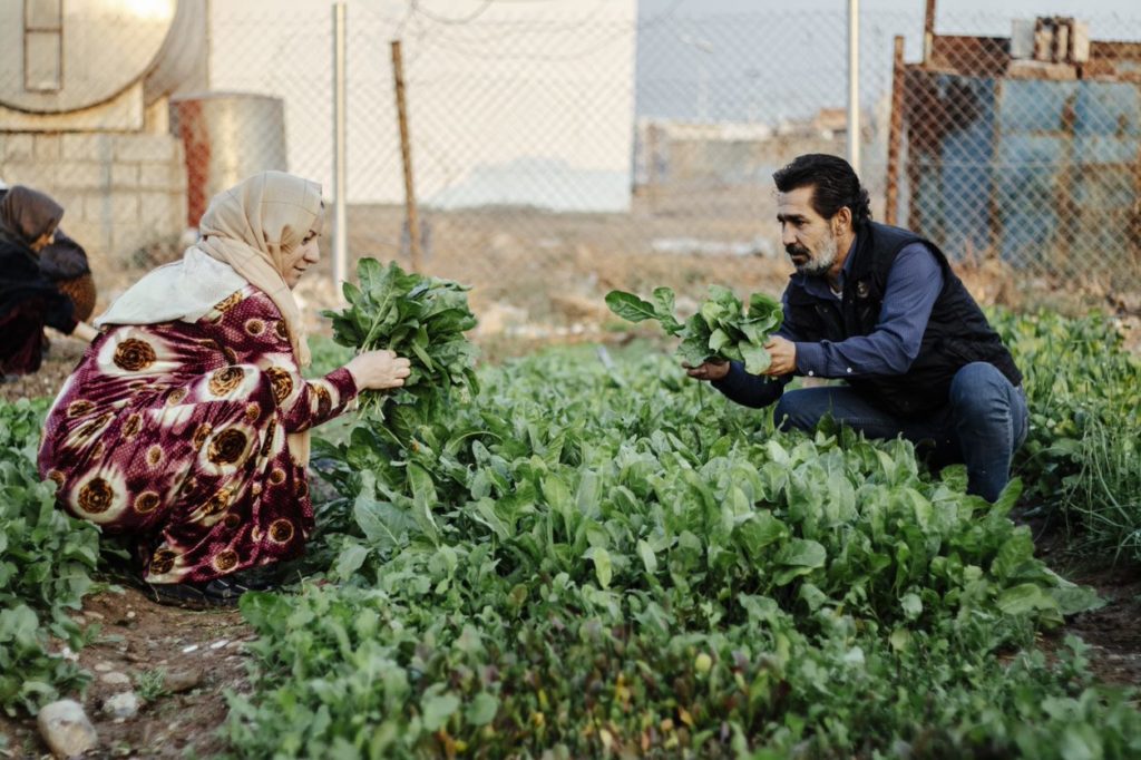 fame nel mondo, progetti di aiuto allo sviluppo in Kurdistan