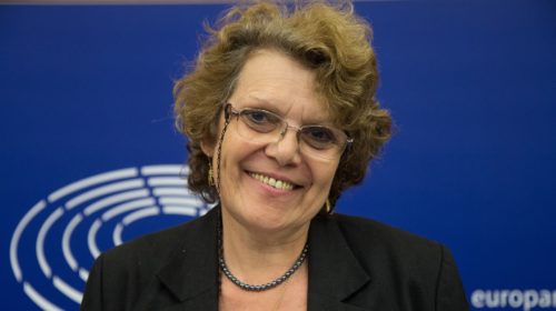 Marie-Christine Vergiat