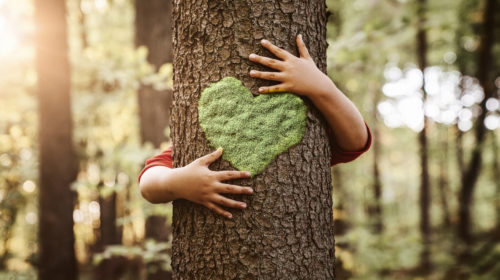 deforestazione e amore per gli alberi, abbraccio albero © Nastco/iStockPhoto