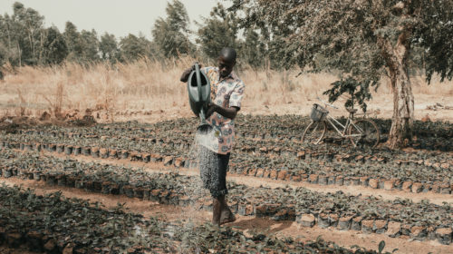 Un agricoltore nel Burkina Faso