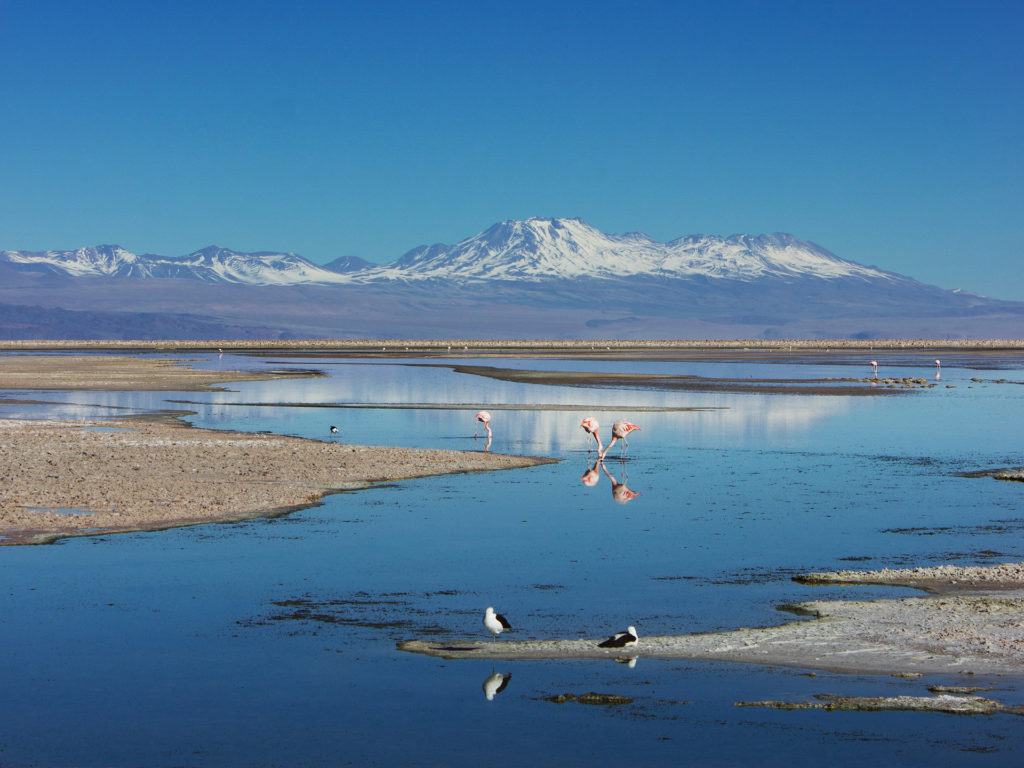 Salar de Atacama cile