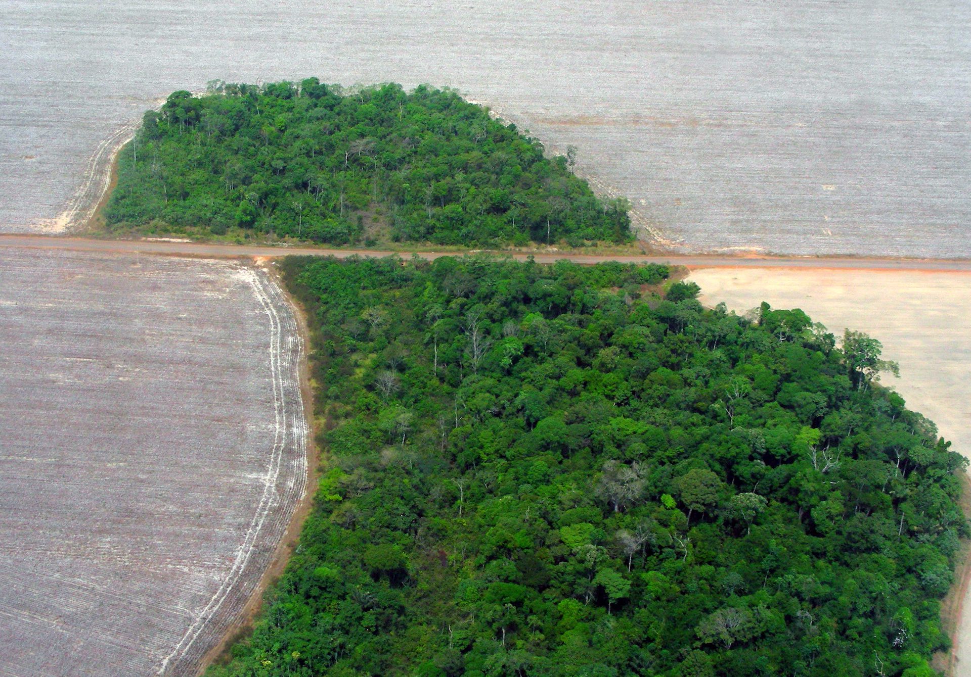 sito deforestazione brasile amazzonia © Pedro Biondi:ABr