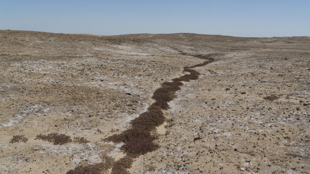 siccità in Iraq