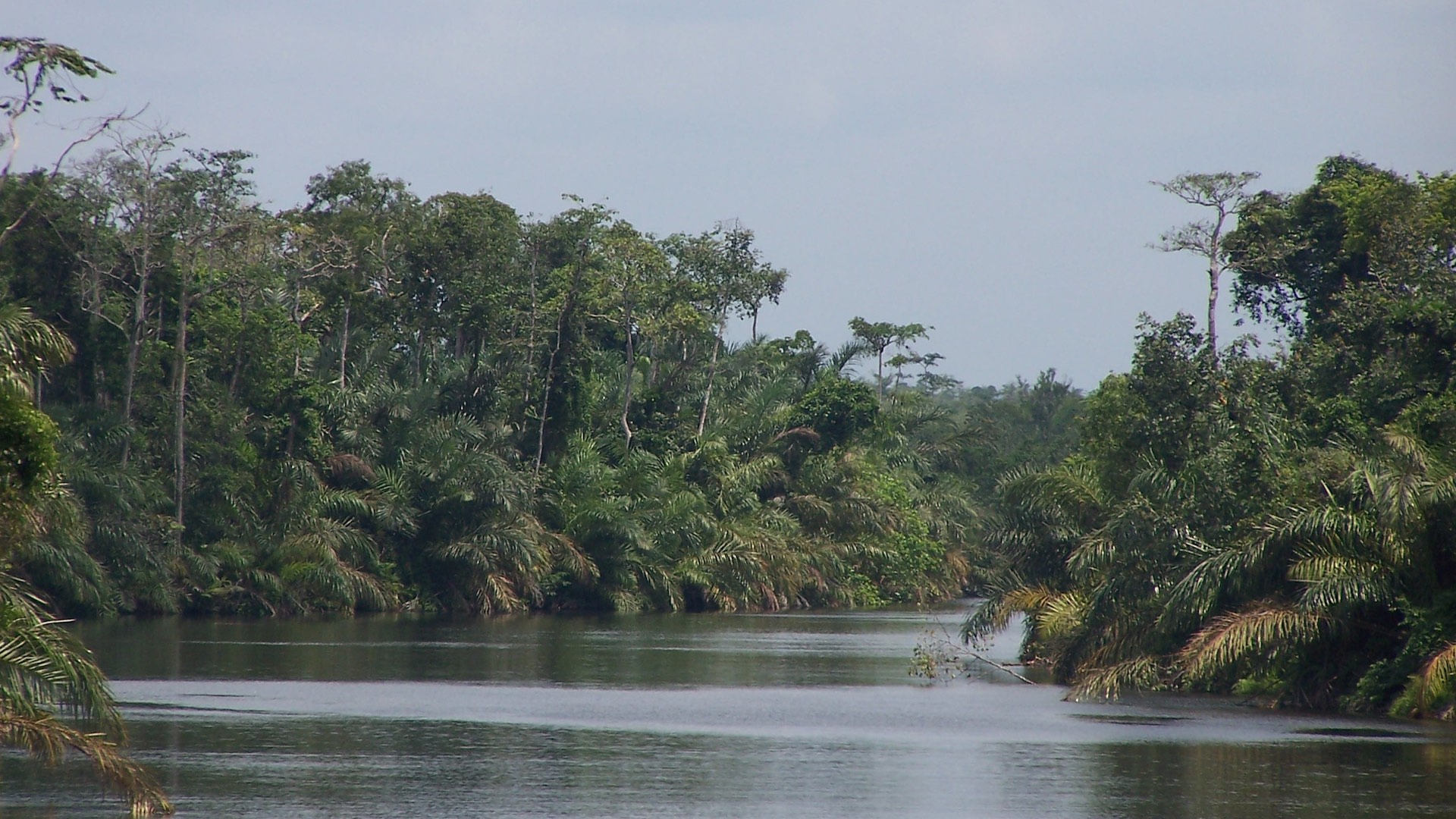 Il valore del patrimonio ambientale e di biodiversità in Gabon è inestimabile © AnitaAndCo/iStockPhoto