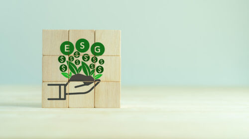 Nomi dei fondi ESG