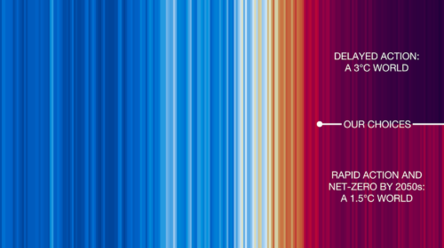 climate stripes