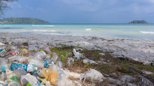 alleanza contro i rifiuti di plastica