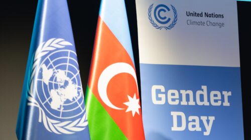 gender day genere cambiamenti climatici baku cop29 UN Climate Change - Kiara Worth