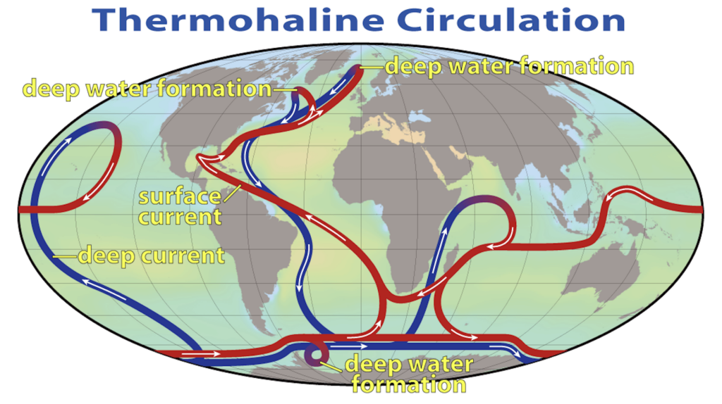 Amoc Corrente del Golfo Temperatura