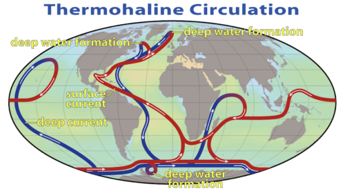 Amoc Corrente del Golfo Temperatura