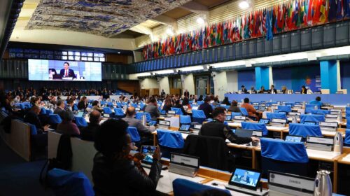 Cop16 bis Biodiversità Sud