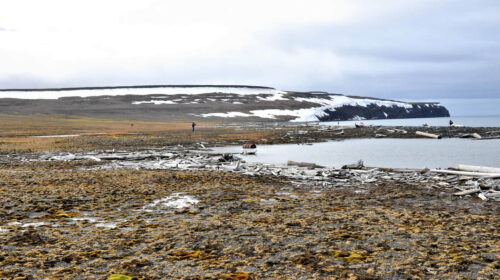 tundra e permafrost