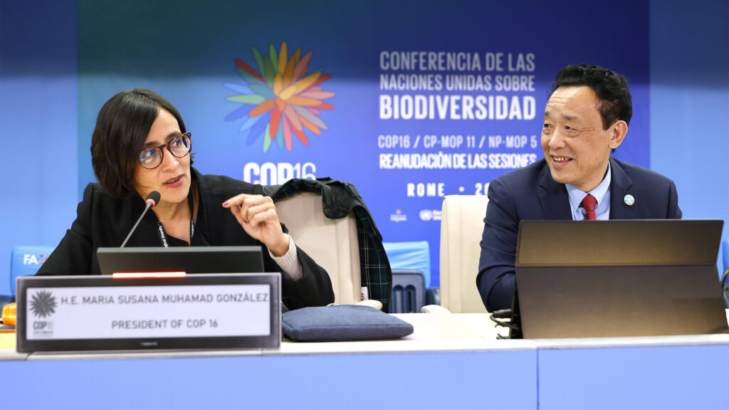 Cop16 bis sulla biodiversità