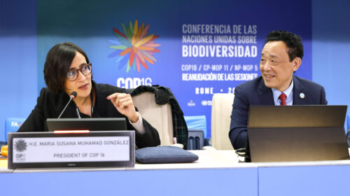 Cop16 bis sulla biodiversità