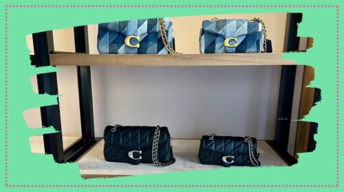 moda lusso deforestazione Amazzonia coach