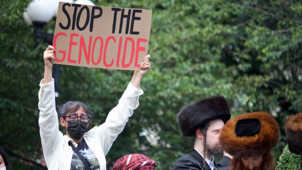 genocidio gaza palestina pamela drew flickr