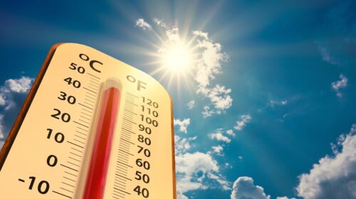 Caldo Crisi climatica Cambiamenti climatici Combustibili fossili