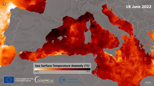 mediterraneo caldo eventi estremi copernicus