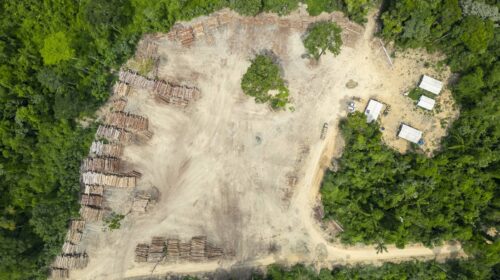 cop30 amazzonia brasile dismoscamento Tarcisio Schnaider iStockPhoto