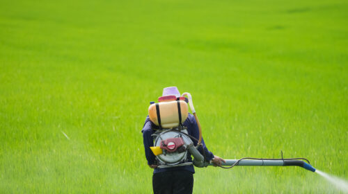 pesticidi esportazioni europa