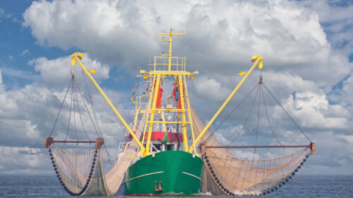 sussidi dannosi pesca