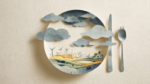 dossier mense scolastiche 02