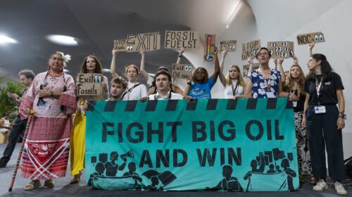 lobby fossili cop30 kiara worth