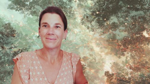 Merel Van de Mark deforestazione finanza forests & finance