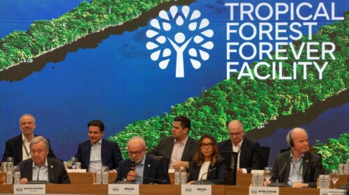 Tropical Forest Forever Facility (Tfff) Cop30