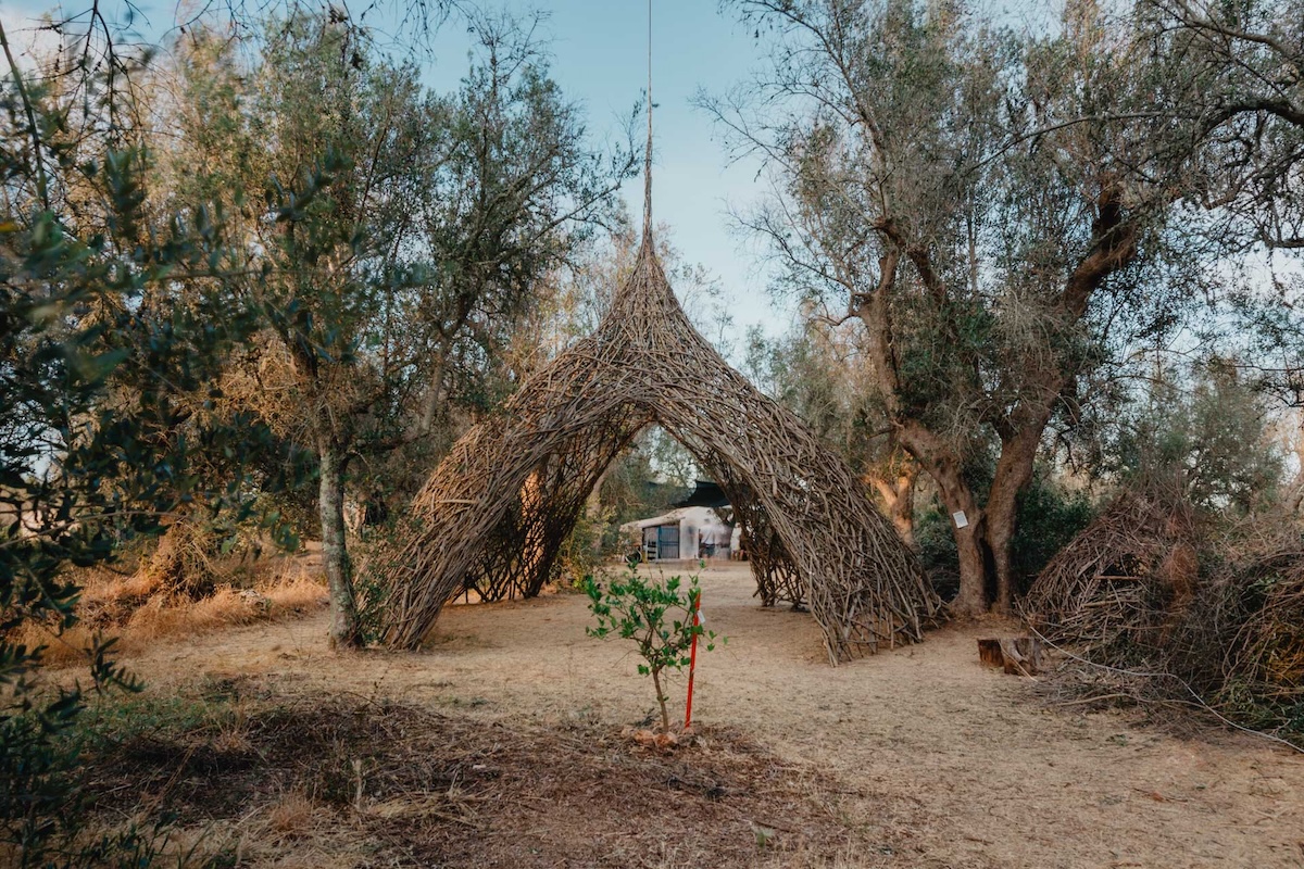 Nidificare i Paduli Albergo Biodegradabile La Cattedrale 2022 credit Mauro Lazzari